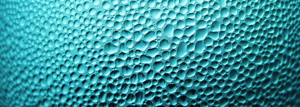 #about-caption slide image