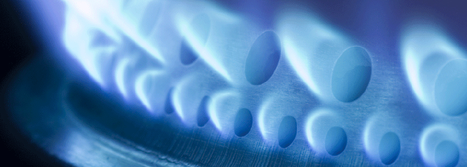 #services-caption slide image